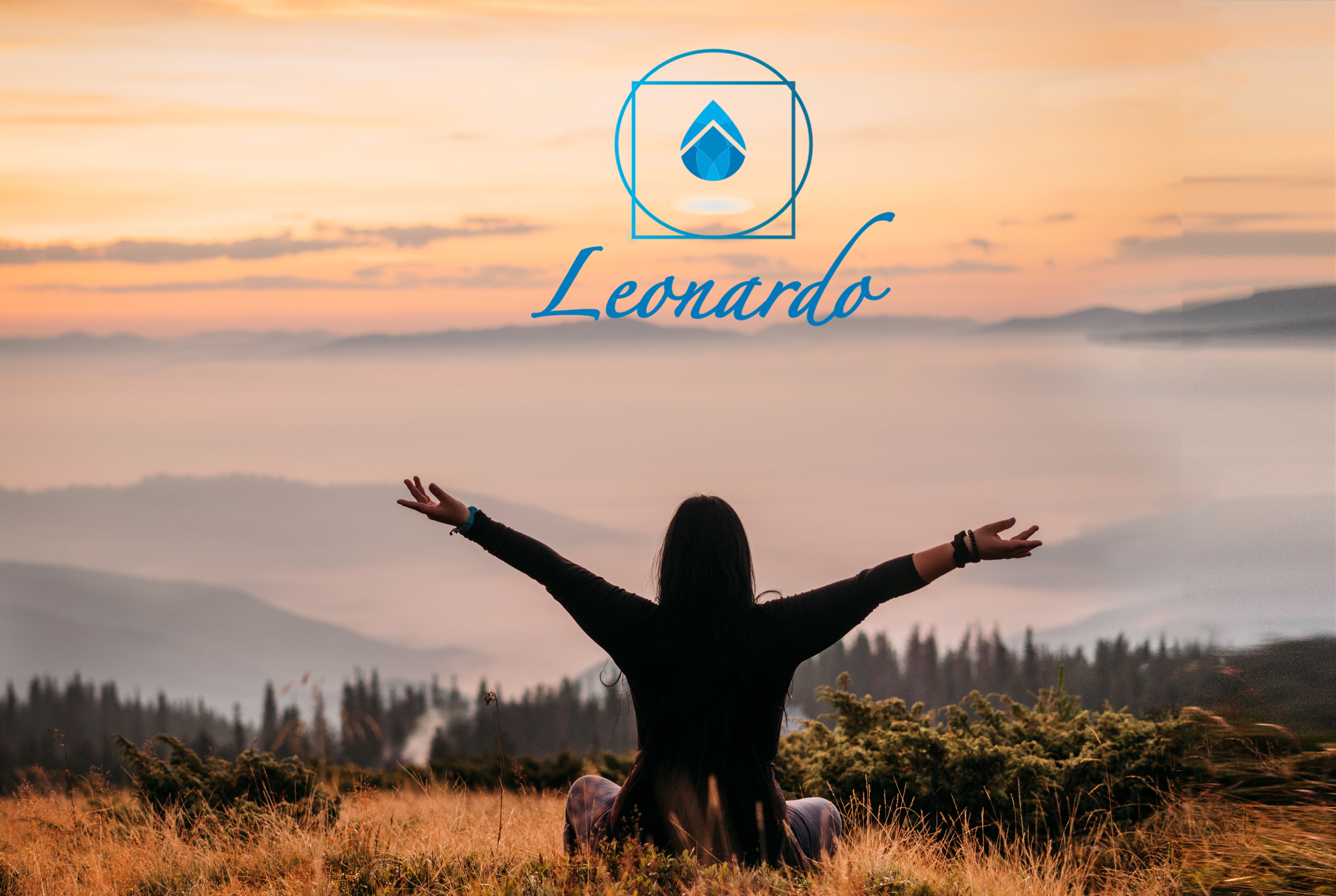 coverleo2